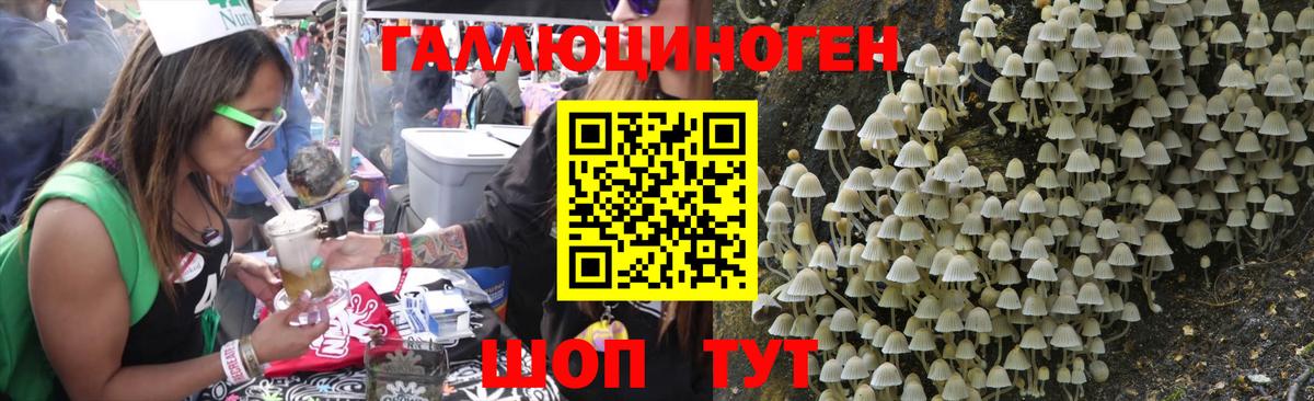 Галлюциногенные грибы GOLDEN TEACHER Гагарин